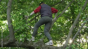 A girl stands on a curved old tree