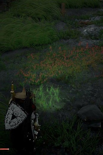 Pet Skunk Location in Crimson Desert