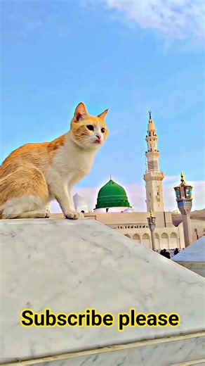 Beautiful Islamic status, Islamic status on Muslim, 4k Islamic status #Islam​ #allah​ #ytshort