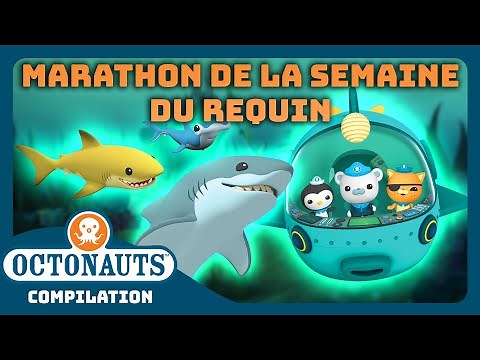 Octonauts - 🦈 MARATHON DE LA SEMAINE DU REQUIN ! 🤿 | Compilation | Dessins animés pour enfants