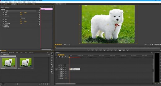 PR教程 PR剪辑：素材大小和画面大小问题解决