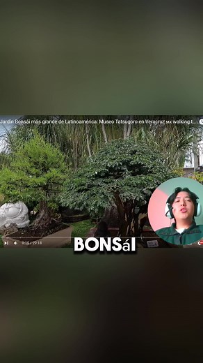 Angel Campos-Seiiku Bonsai on TikTok