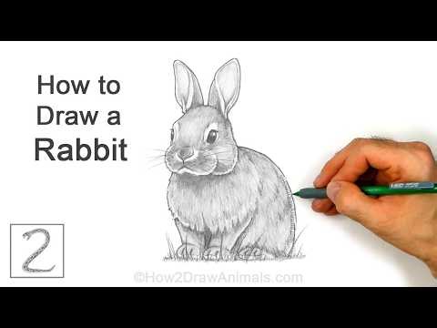 How to Draw a Rabbit for Easter