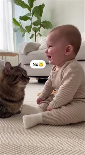 La réaction de ce chat au bébé est IMPAYABLE 😹