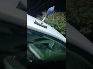 Ford Transit van unlock keys inside