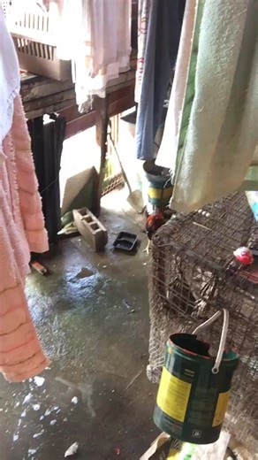 Sunshine Vlog on Reels