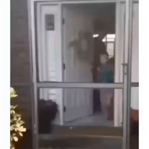 He didn't touch the car first