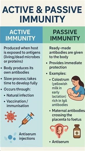 Active and Passive immunity # Class 12 # Health and Disease