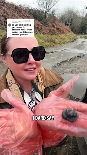 Understanding Sheath Cleaning in Geldings vs Stallions