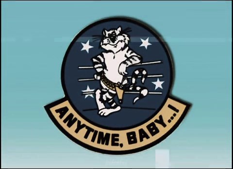 F-14 Tomcat: Iconic Navy Fighter Aircraft