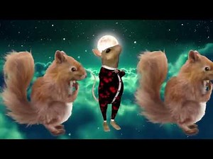 Tikida - Ou est le rat