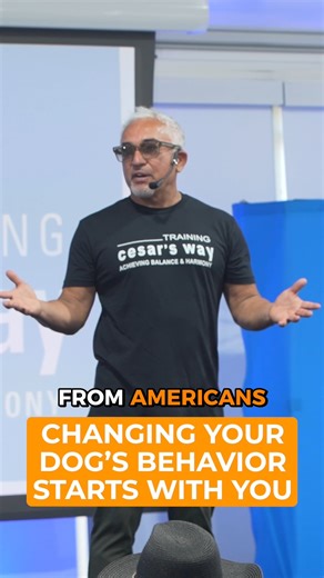 I didn’t come to America to train dogs. I came to understand them. That journey led me to training people and rehabilitating dogs. Join me at the Fundamentals 1 Workshop this April 22-26, 2026. Sign up now at CesarMillan.com! No llegué a Estados Unidos para entrenar perros. Llegué para entenderlos. Ese camino me llevó a entrenar personas y a rehabilitar perros. Acompáñame en el Taller Fundamentals 1, del 22 al 26 de abril de 2026. Inscríbete ahora en CesarMillan.com. | Cesar Millan