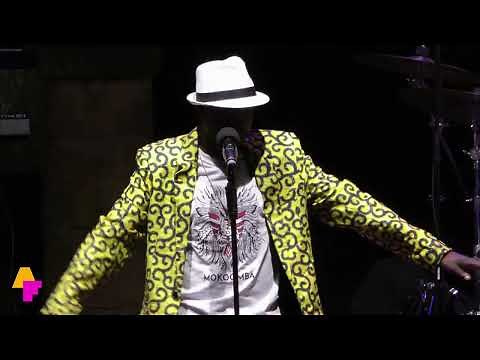Mokoomba - Tamvela - Live at Afrika Festival Hertme 2022