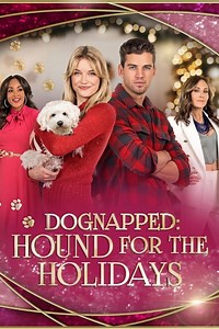 Stream Dognapped: A Hound for the Holidays (2022): Find it on Netflix, Prime Video, Hulu & more