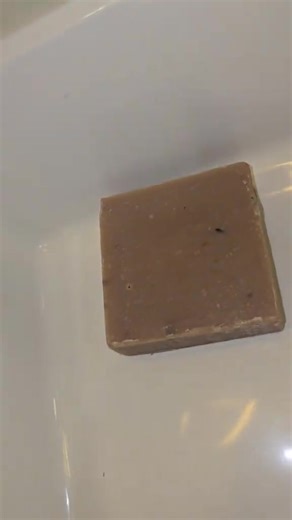 William White (@william.white064)’s videos with original sound - William White