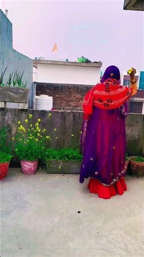 Meena Ladies Geet 2025 ||New Rajasthani Meenawati Dj geet ||LalitaMeena156#मीणा_गीत #viral