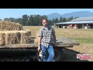 Our Free Range Turkey Farm