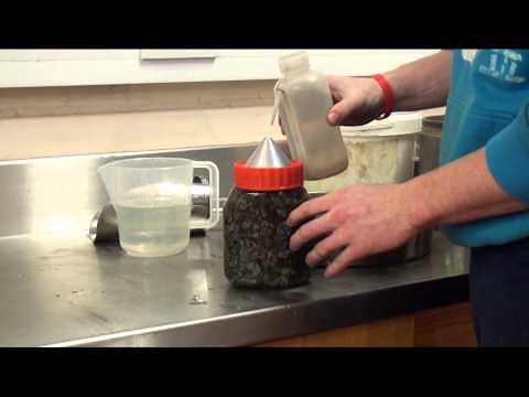 Saturated Surface Dry Condition