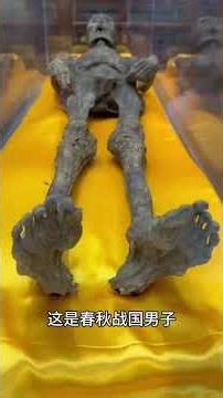 Unveiling the Secrets of Ancient Cured Meat: Is It Still Edible