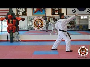 Tiger Kim's Academy Kee Cho Hyung Yi Basic Form 2 two