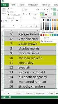 format painter in excel | excel