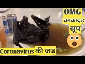 Bats soup recipe in China 2020/ Chamgadar ka soup/Coronavirus