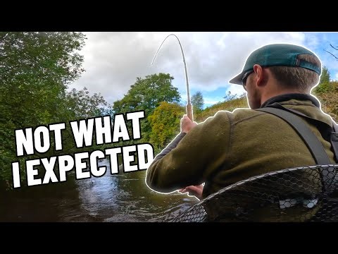 Spate River Adventure | Fly Fishing For Salmon