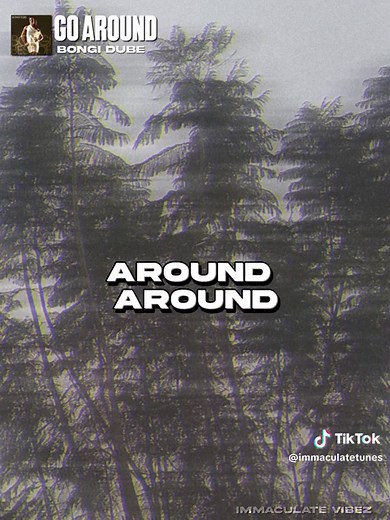 Bongi Dube - Go Around (Lyrics)
