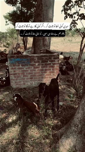 Koi khata to sabit kr !! 💔🥹 #fyp #foryou #poetry #viral #hehe_ansari786