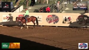 4.1K views · 28 reactions | Picasso Chex didn't get the start hoped for last year due to Covid, but his competition career is off and running now. Trainer Dan Steers is really happy with his performance yesterday in the Dry Work section of the ARBC 4-Year-Old & Under Challenge. Good luck today in the Cattle section. www.picassochex.com.au Pete Comiskey Campdrafting, Bryony Puddicombe Thank you to ARBC for the video. | Select Sires | Facebook