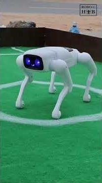 Is This the Future of Robotics? 🤖 | Animal Robots & AI Innovation