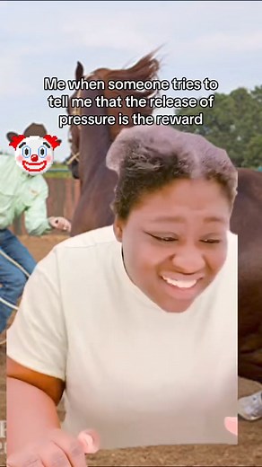 Sometimes I feel like I’m gonna snap when people continuously spread misinformation about learning theory 😅 | Milestone Equestrian