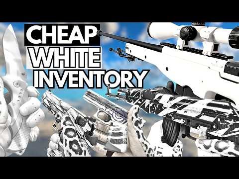 The BEST CHEAP WHITE Inventory in 2026 (CS2 Budget White Loadout)