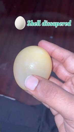 Egg shell disappeared🥸#egg #science #scienceexperiment