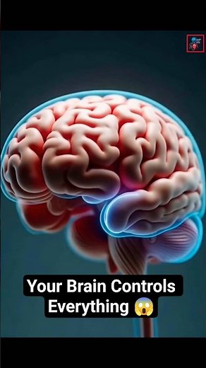 How the Brain Controls the Body | Nervous System Explained