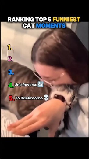 Ranking Funniest Cat Moments🤣|PetTop5 #cats #ranking #shorts #funny