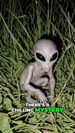 The Village That Vanished Overnight 🏔️😱