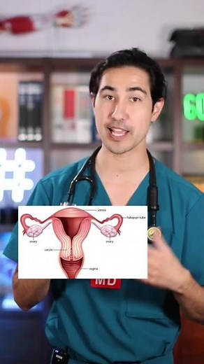 What’s a speculum and how’s it used in a pelvic exam?