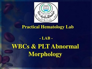 WBCs &amp; PLT Abnormal Morphology - SlideServe