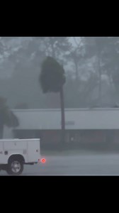 😳😳😳😳 Just like that, the roof is gone! #BigDanTheWeatherman #Hurricane #HurricaneFrancine #HurricaneDamage | The Big Dan Show