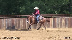New video! How to balance a Bridle Horse at speed and teach them to steer better! Learn how too: *Soften a Bridle horse two handed. *When to counter canter. *How to use your legs for the lead change. *When to abort the lead change when schooling. *What to do if your horse is running through the bridle in your run-downs. *How to get your horse to relax in your rein work stops. *What creates a great stop in your rein work. *How to fix a horse that is leaning on the left rein in your cow work. *Plu