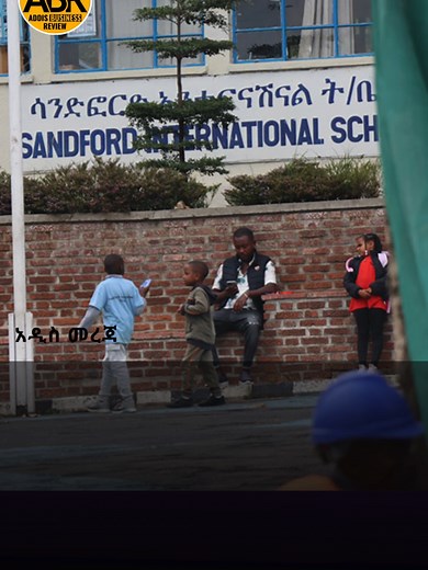 Ethiopia Investigates Schools for Alleged Tax Schemes