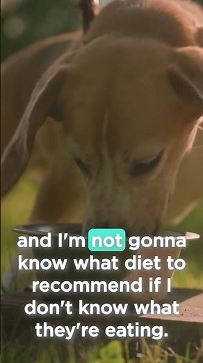 Paws & Prescriptions: Feeding Dogs with Allergies & Stones | VetFolio Voice
