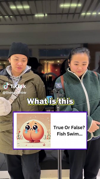 Engaging Brain Teaser Puzzle for Game Show Fans