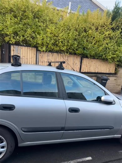 Golden privet and cypress leylandi hedge getting topped and trimmed in Portobello, Edinburgh. For any hedge trimming, topping or removal make sure to contact Archie Thorburn paving and tree care. | Archie Thorburn ltd - Paving & Tree care | Facebook