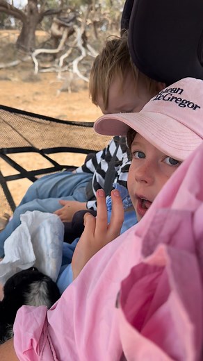 1K views · 32 reactions | Fleur with her own little "Baa Baa Black Sheep".  Sound On | red dirt lamb | Facebook