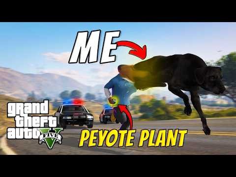 Turn Into Animals in GTA V? Here's Every Land Peyote Location