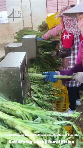 Pickled Gongcai #Rural Life Emphasizes One Cannot Stay Idle #Rural Life is Busy and Fulfil #9a2bc