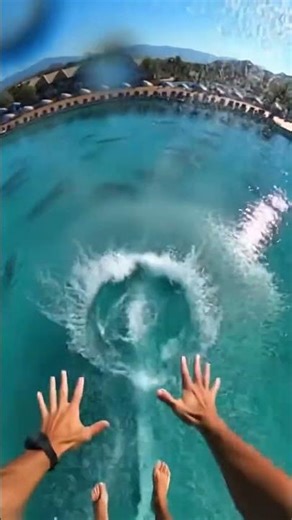 Waterslide into pool full of giant fish #funny #memes