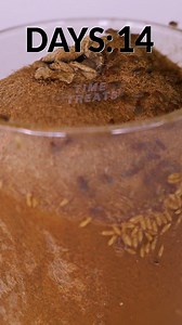 Rot And Decay Timelapse 😂🪰#decay #Timelapse #satisfying | Time Treats